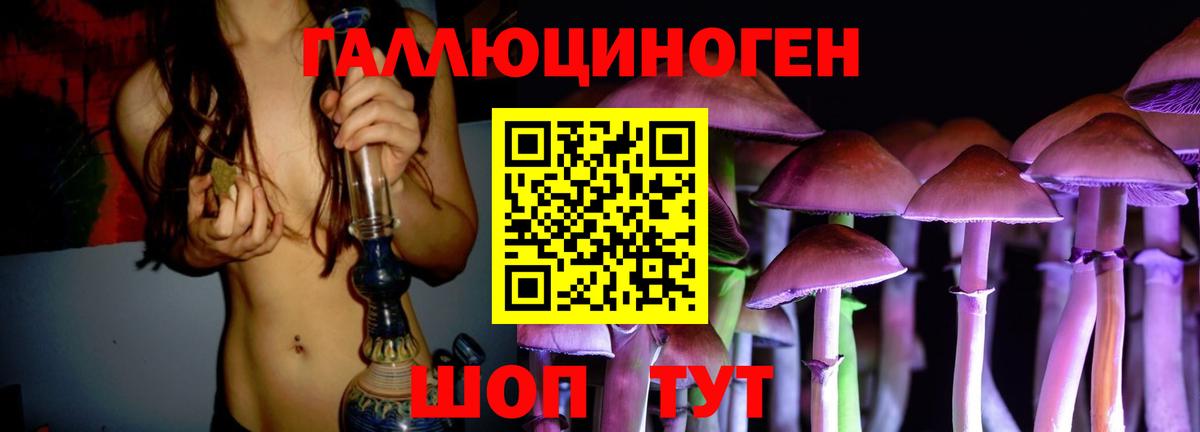 Галлюциногенные грибы Psilocybe Урус-Мартан